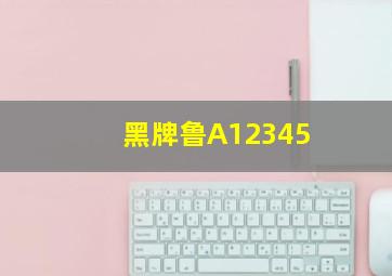 黑牌鲁A12345