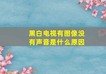 黑白电视有图像没有声音是什么原因