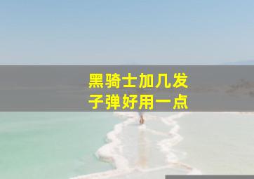 黑骑士加几发子弹好用一点