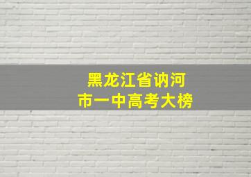 黑龙江省讷河市一中高考大榜