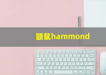 鼹鼠hammond