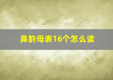 鼻韵母表16个怎么读