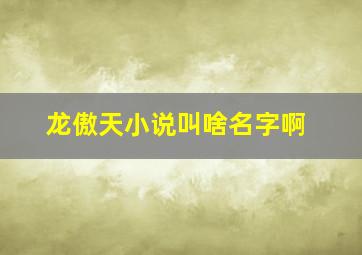 龙傲天小说叫啥名字啊