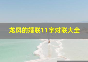 龙凤的婚联11字对联大全