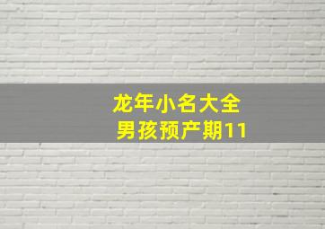 龙年小名大全男孩预产期11