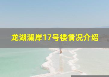 龙湖澜岸17号楼情况介绍