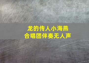 龙的传人小海燕合唱团伴奏无人声