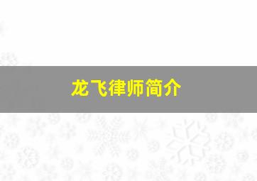 龙飞律师简介