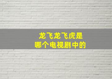 龙飞龙飞虎是哪个电视剧中的