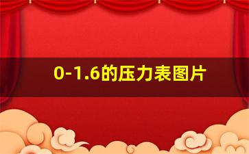 0-1.6的压力表图片