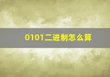 0101二进制怎么算