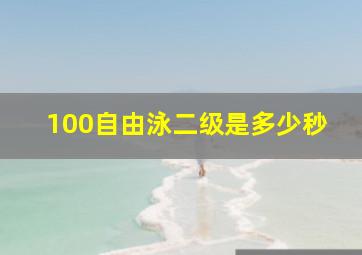 100自由泳二级是多少秒