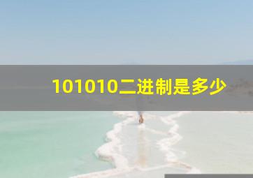 101010二进制是多少