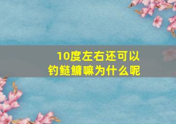 10度左右还可以钓鲢鳙嘛为什么呢