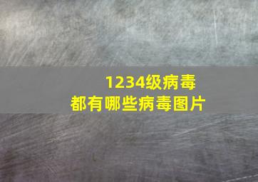 1234级病毒都有哪些病毒图片