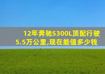 12年奔驰S300L顶配行驶5.5万公里,现在能值多少钱