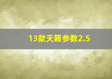 13款天籁参数2.5