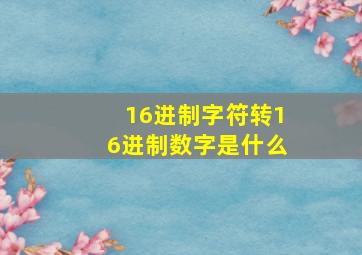 16进制字符转16进制数字是什么