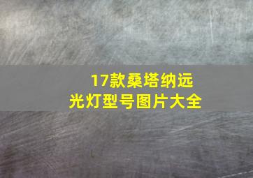 17款桑塔纳远光灯型号图片大全