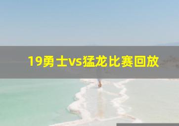 19勇士vs猛龙比赛回放