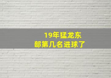 19年猛龙东部第几名进球了