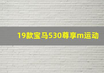 19款宝马530尊享m运动