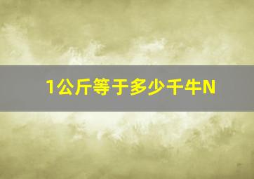 1公斤等于多少千牛N