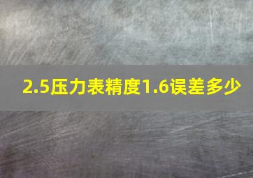 2.5压力表精度1.6误差多少