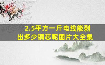 2.5平方一斤电线能剥出多少铜芯呢图片大全集