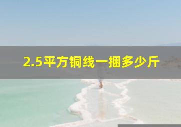 2.5平方铜线一捆多少斤