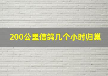 200公里信鸽几个小时归巢