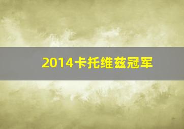 2014卡托维兹冠军