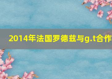 2014年法国罗德兹与g.t合作