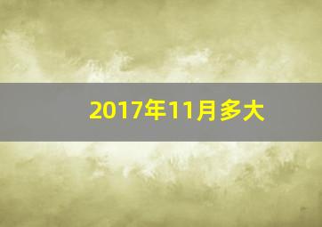 2017年11月多大