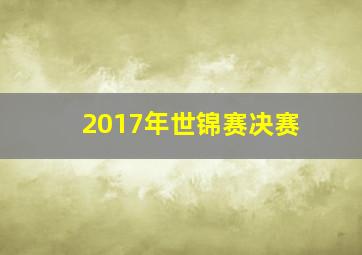 2017年世锦赛决赛