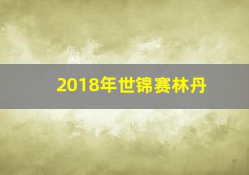 2018年世锦赛林丹