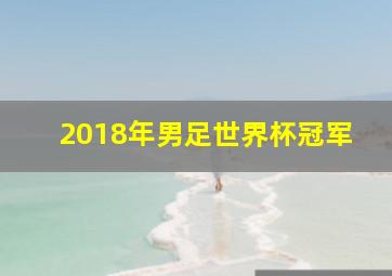 2018年男足世界杯冠军