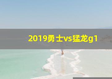 2019勇士vs猛龙g1