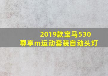 2019款宝马530尊享m运动套装自动头灯