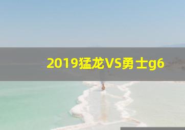 2019猛龙VS勇士g6