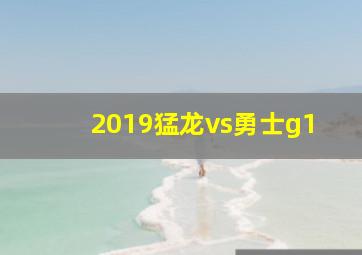 2019猛龙vs勇士g1