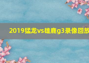 2019猛龙vs雄鹿g3录像回放