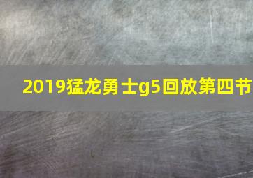 2019猛龙勇士g5回放第四节