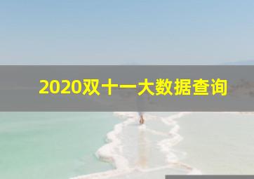 2020双十一大数据查询