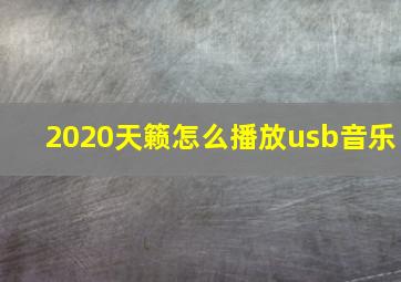 2020天籁怎么播放usb音乐