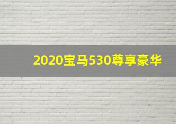 2020宝马530尊享豪华