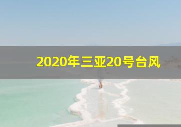 2020年三亚20号台风