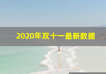 2020年双十一最新数据