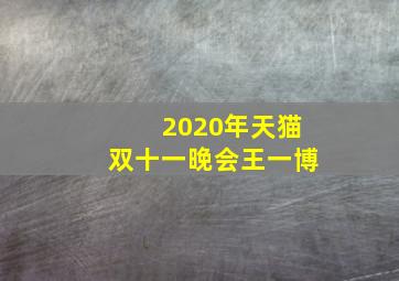 2020年天猫双十一晚会王一博