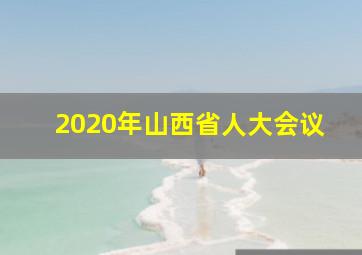 2020年山西省人大会议